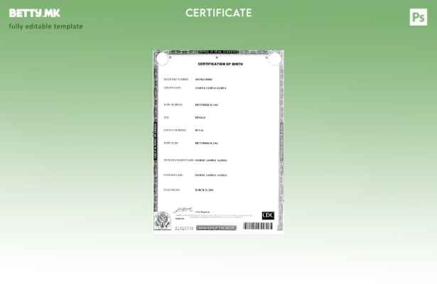 модерен стил Шаблон за извод од матична книга на родените Канцеларија за витална